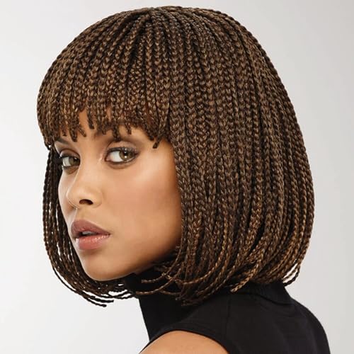 Perruques tressées afro-américaines pour masquer la perte de cheveux - 3