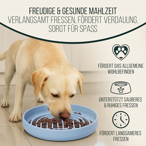 Happilax Antischlingnapf für Hunde – Silikon-Futternapf für langsames Fressen – Fördert Verdauung & mentale Stimulation – Sicher & leicht zu reinigen – 25x4x18 cm, Blau