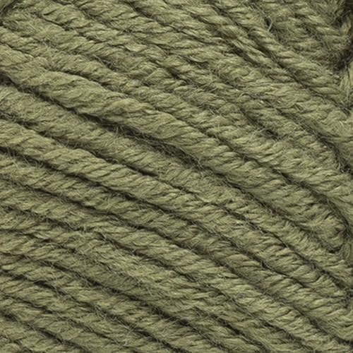 Image of Lion Brand Yarn, Color Theory Worsted Weight Yarn for Knitting and Crochet, Caper, 1 Pack, Acrylic Fiber with Modern Color Palette, Perfect for Sweaters, Hats and Cozy Blankets