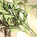 NOLAST 37” Tall Faux Greenery Branches Stems Fake Olive Branches Artificial Plants for Vase Home Party Decoration