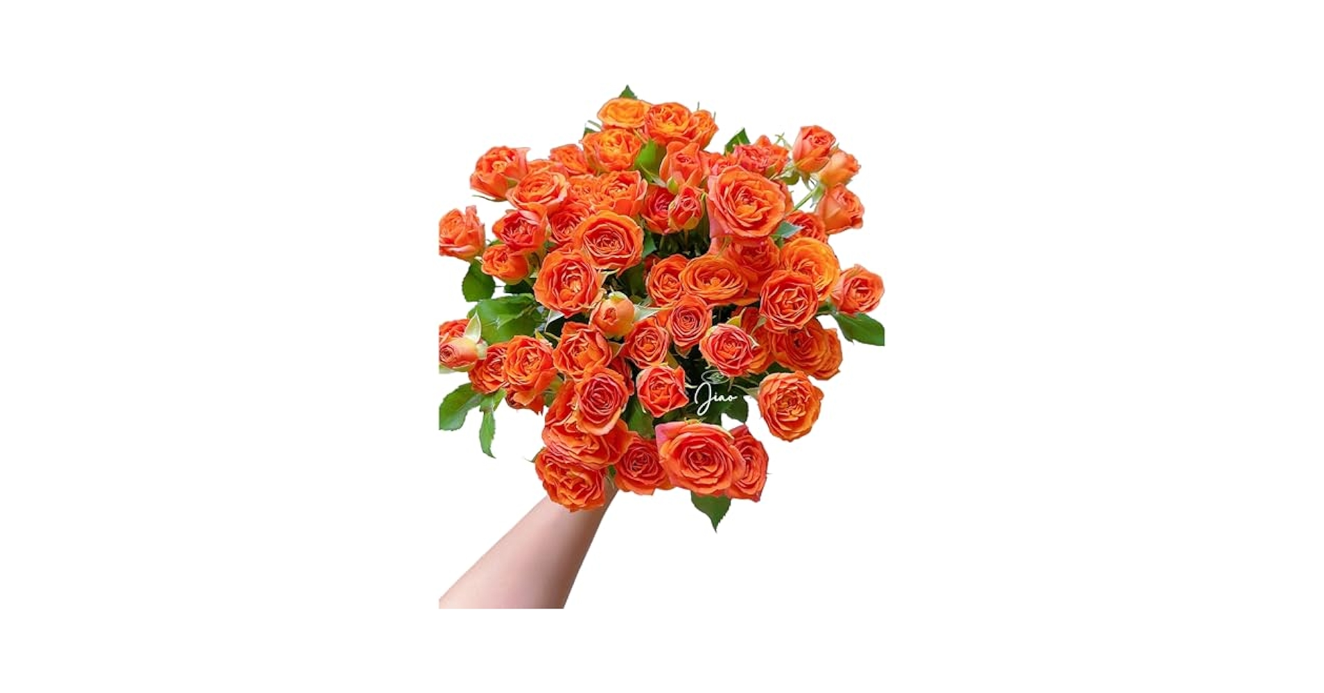 Small Package / 紫陽花＜CD＞ 08250521H01T Amazon.com