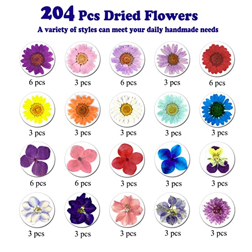 Flores prensadas secas naturales para manualidades miniatura 4
