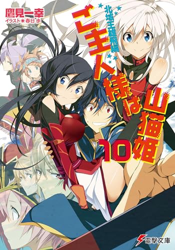 ご主人様は山猫姫 (10) 北域王雄飛編 (電撃文庫)