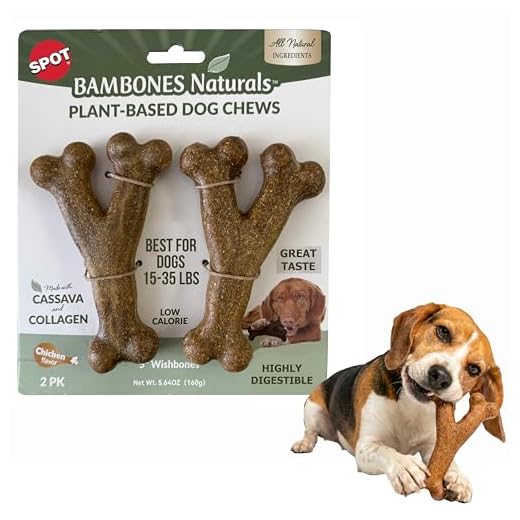 SPOT Bambones Naturals Wishbone Dog Chews, 5 Inch – Plant-Based Cassava & Collagen Chews for Heavy Chewers, Low-Calorie, Highly Digestible, Long-Lasting Chicken Flavor, 2-Pack