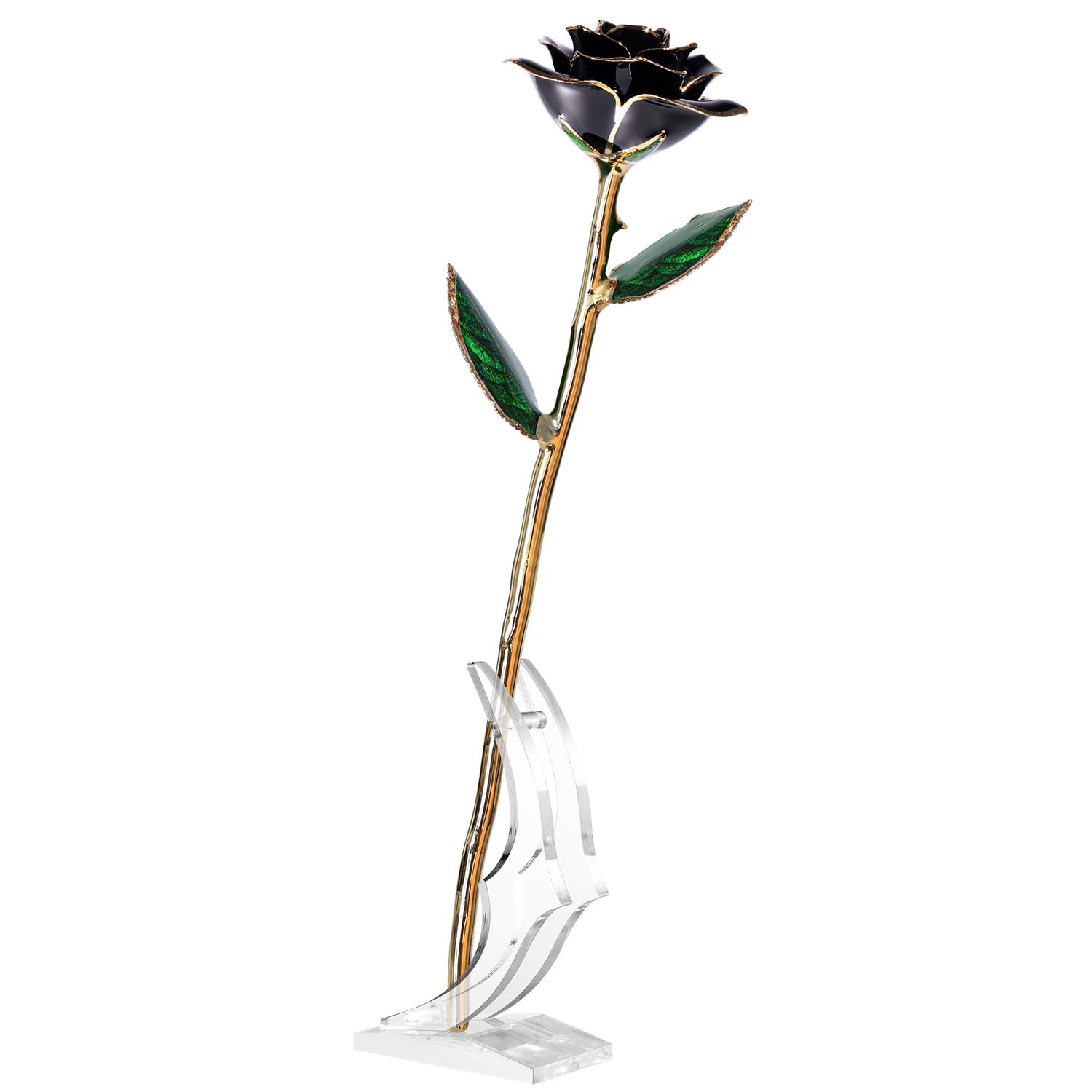 ECO SPACE 24K Gold Dipped Real Rose – Handcrafted, Bold, One of a Kind – Romantic Gift for Her – Ideal for Birthday, Anniversary, Mother’s Day, Valentine’s (Black)