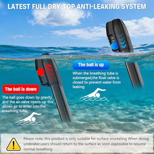 Image of Proberos Full Face Snorkel Mask for Teens & Adult, 180 Degree Panoramic HD Anti Fog Snorkeling Mask with with Dry Top Breathing System & Camera Mount Rack, for Snorkeling Diving Sightseeing, Size-L