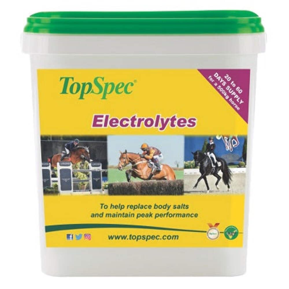 TopSpec Electrolytes 3kg - Clear, 3Kg