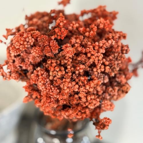 Image of Himalayan Daisy Dried Flowers | Natural Dried Blooms| 70 Grams | Naturally Preserved, Delicate & Everlasting | Perfect for Home Decor, Floral Arrangements, Bouquets & DIY Crafts(Orange)