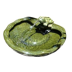 Fontein op zonne-energie, kikker