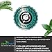 Zenmen Green Black Walnut Organic Tincture - Tick Immune Support and Guard Vitality, Source of Antioxidants, Promote Healty Liver - Made in the USA