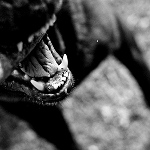 Solo Sánchez, Lilo Sanchez & Flipao