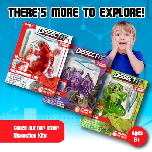 Image of Top Secret Toys Dissect-It Mini Labs Piranha Lab Dissection Kit for Kids, Realistic Synthetic Kids Science Kit - On, Biology and Animal Anatomy, STEM Toy, Ages 6+