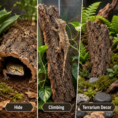 Image of BESPORTBLE 4 Pack Natural Cork Bark Hides for Reptile Terrariums Assorted