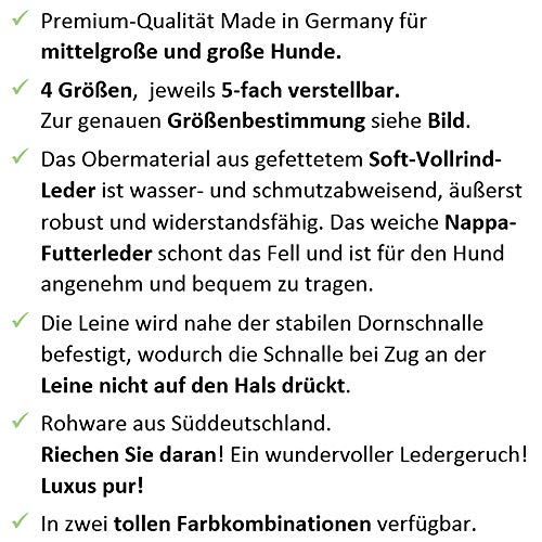 Activity4Dogs Luxus Hundehalsband aus Leder | für (mittel) große Hunde | 2,5 cm breit | gepolstert | 5-Fach verstellbar | Made in Germany | Echt-Leder Größe M1 schwarz-rot