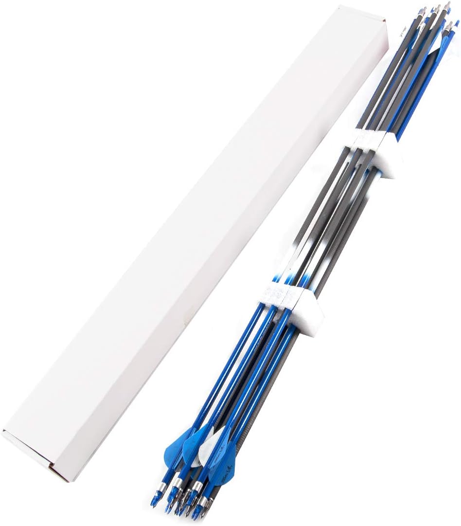 HYF 3K Pure Carbon Arrow Practice Hunting Arrows Spine 340 with Changable Arrowhead for Compound Bow & Recurve Bow Shooting (Pack of 12) : Sports & Outdoors