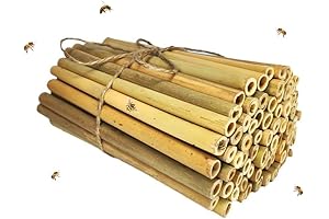 Bee Nesting Bamboo Tubes: 100 Natural Hive Insertions for Mason Bees (6-Inch)