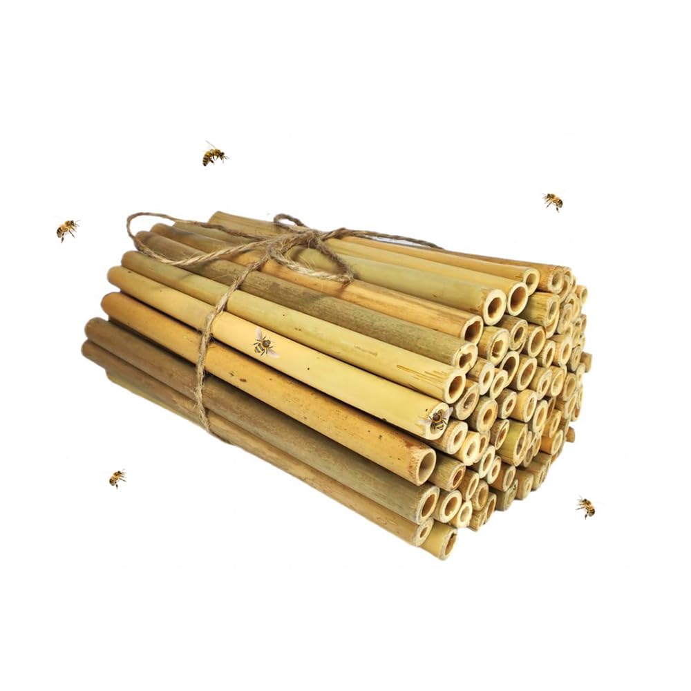 INature 100-Pack 6-Inch Natural Bamboo Tubes - Eco-Friendly Mason Bee House Refills | Perfect for Bee Hotels, Pollinator Boxes | Solitary Bee Hive Supplies