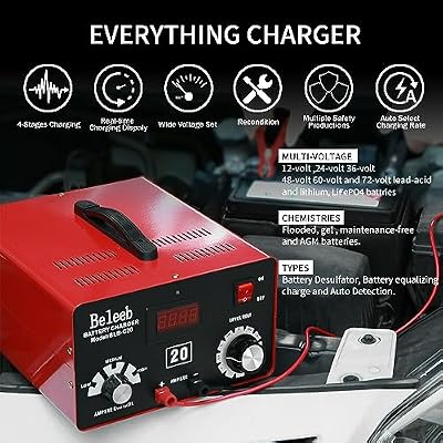 C20 Adjustable Battery Charger 12V 24V 36V 48V, 12A Pulses of High-Voltage Battery Desulfator Maintainer with Smart Chip for Lead-Acid LiFePO4 Lithium Batteries BLB-C20