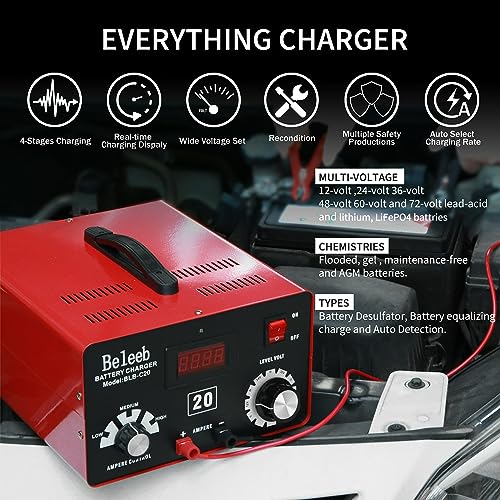 Image of C20 Adjustable Battery Charger 12V 24V 36V 48V, 12A Pulses of High-Voltage Battery Desulfator Maintainer with Smart Chip for Lead-Acid LiFePO4 Lithium Batteries BLB-C20