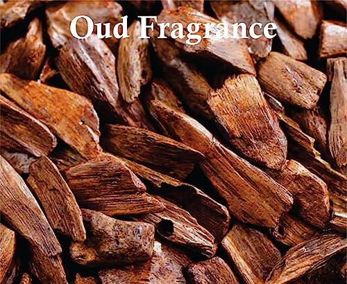 Noor al Shams Perfume | Noor al Shams Edp Unisex Eau De Parfum| Oud, Sandalwood and Vanilla Arabian Perfume | Noor al Shams Men Perfume and Women Perfume 100ml Made in Uae By Sapphireâs Choice - Image 5