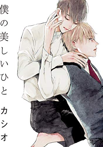 僕の美しいひと【電子限定おまけ付き】 (ディアプラス・コミックス) Kindle版の表紙