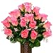 Sympathy Silks Artificial Cemetery Flowers - Realistic - Outdoor Grave Decorations - Non-Bleed Colors, and Easy Fit - Pink Roses - with Flower Holder