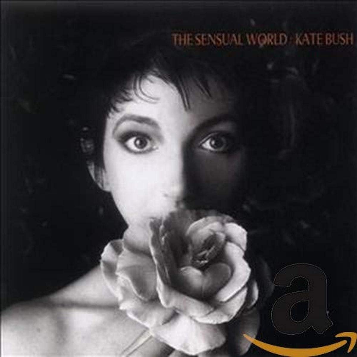 The Sensual World [Audio CD] Kate Bush