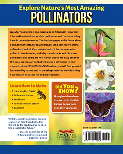 World of Pollinators: A Guide for Explorers of All Ages: Fun Projects, Over 600 Amazing Facts About Plants, Bees, Beetles, Birds, and Butterflies (Creative Homeowner) Outdoor Activities for Kids 8-12 - Image 2