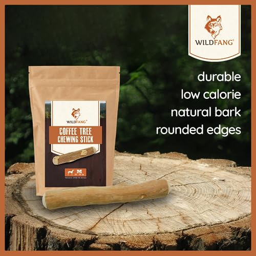 Wildfang® Paket Willkommen Wegbegleiter - kleine Hunde| Welpe |Starterset für Welpen, Welpenbox, getreidefreie Proben Trockenfutter, Lederknochen, Hartkäse Probierset, Kaffeeholz Kaustab