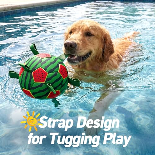 Image of QDAN Dog Water Toys, Pool Toys for Dogs Swimming Beach Fun, Watermelon Ball for Summer Outdoor Games (7 inch)