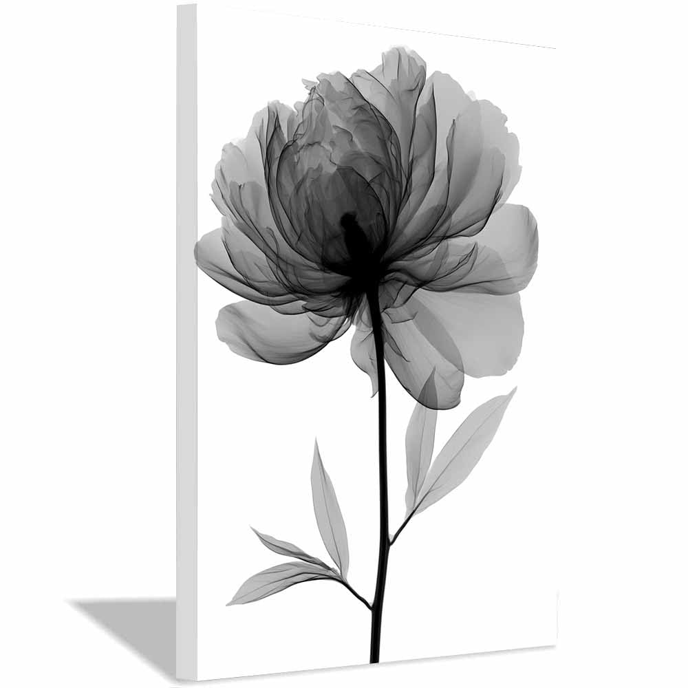 HOQIU Black And White Posters X-Ray Peony Flower canvas wall art, decorative paintings, for Bedroom Living Room Bathroom Office Home Decoration(Multicolor)-60x80cm Framed