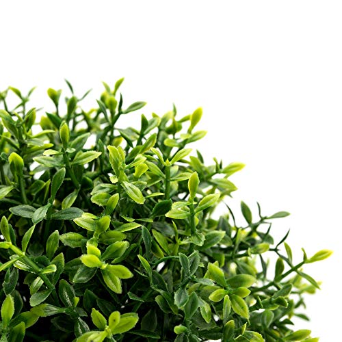 Velener 2Pcs Mini Artificial Boxwood Topiary Faux Plants Indoor- Small Fake Plants Decor Magnolia Home Office Desk Cubicle Farmhouse Kitchen Bookshelf Bedroom Bathroom Decor, Aloe Vera Zen Garden #TOP7