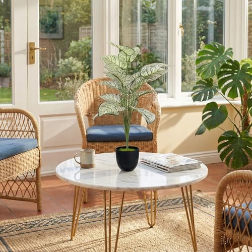 Image of Dekorly Artificial Palm Tree - Large Fake Tropical Floor Plant, Realistic Plastic Greenery for Indoor Home, Office, Living Room & Corner Decor (Dieffenbachia White)