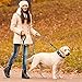 haapaw reflektierendes Hundehalsband gepolstert mit weichem Neopren atmungsaktiv einstellbar Nylon Hundehalsbänder für kleine mittlere große Hunde