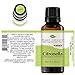 Plant Therapy Citronella Essential Oil 30 mL (1 oz) 100% Pure, Undiluted, Citronella Oil for Aromatherapy, Diffuser, Candle Making, Skin Care, Outdoors, Therapeutic Grade