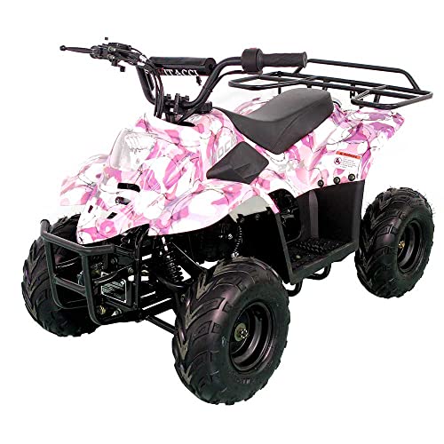 110cc ATV Four Wheelers Fully Automatic 4 Stroke Engine 16
