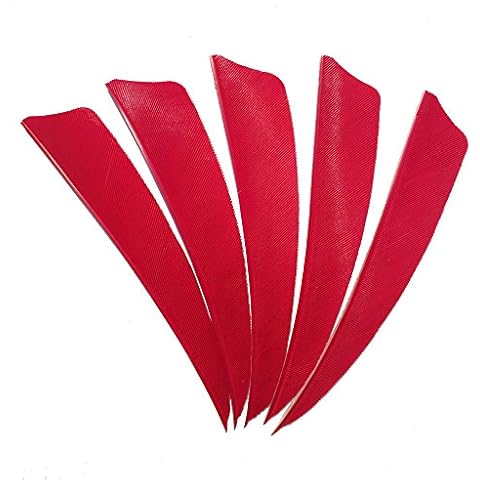 Plumas SHARROW 50pcs 4" Alas Derechas Rojas Cover