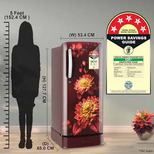 Image of LG 185 L, 5 Star, Direct-Cool, Smart Inverter Compressor, Single Door Refrigerator with Fast Ice Making (GL-D201ASFU, Scarlet Florance, Runs on Home Inverter, Moist 'N' Fresh & Base stand with drawer)