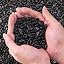 Black Obsidian