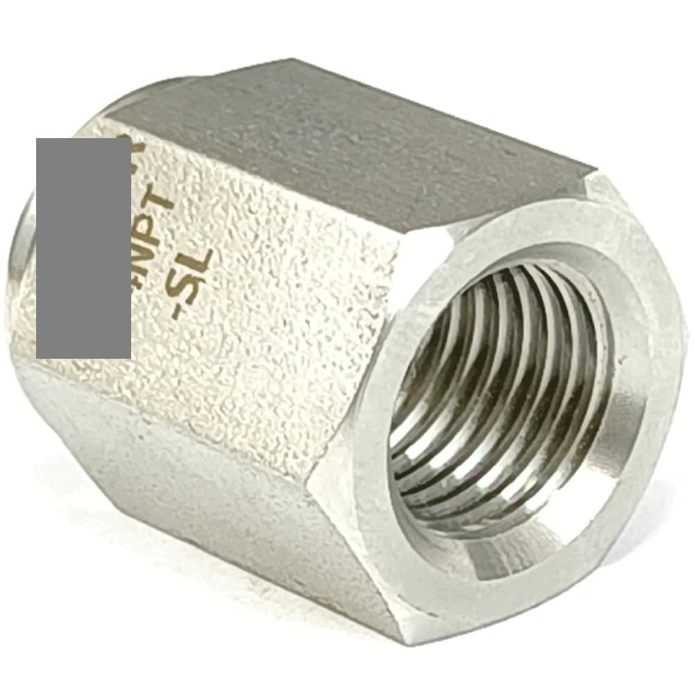 PAKMEZ 1PC 1/4" NPT Female End Cap Hex SUS316 Stainless Steel Pipe Fitting