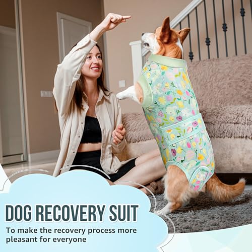 Image of Lukovee Recovery Suit for Dogs, Female Male Spay Neuter Post Surgery Suit
