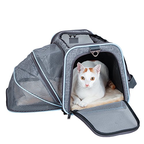 Petsfit Katzentasche, erweiterbar, für mittelgroße Hunde, erweiterbare Transporttasche für Haustiere, von Fluggesellschaften zugelassen, weiche Seiten (grauer und blauer Rand), 48,3 x 30,5 x 30,5 cm