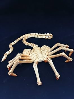 日*0様 【激レア】エイリアンフィギュア22体＋フェイスハガー大3・小1 計26 日*0様 【激レア】エイリアンフィギュア22体＋フェイスハガー大3