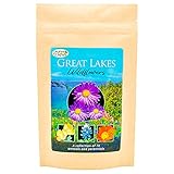Great Lakes Wildflower Seed Mix - Over 40,000 Premium Seeds -by 'createdbynature'