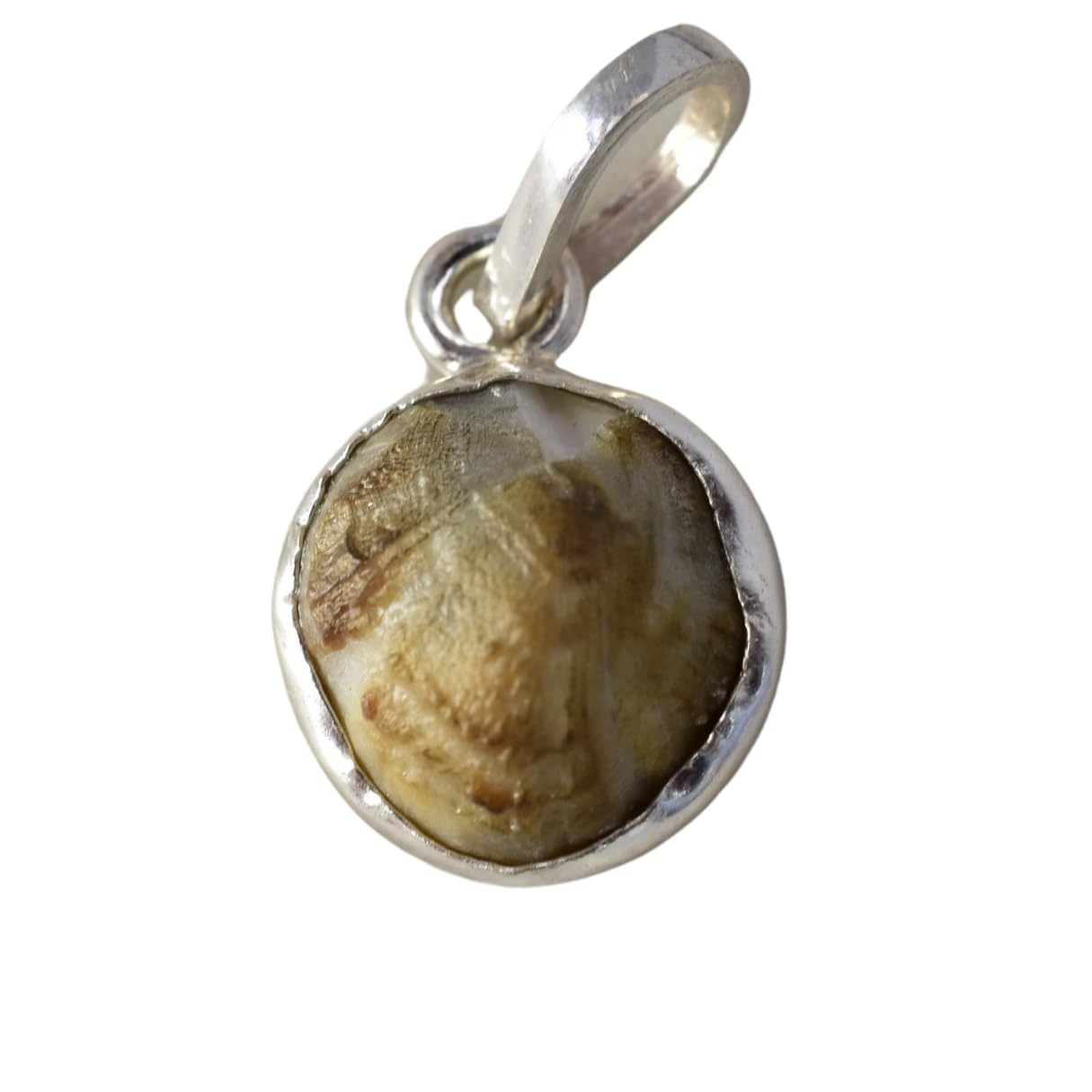 Ratna Shree Machmani Silver Locket 18 Carat 100% Natural And Certified Machmani | From Authentic Laboratory | Natural Machh Mani(3.5 Gram +) (B09FGK63FR) Amazon Price History, Amazon Price Tracker