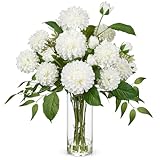 Hollyone White Fake Flowers in Vase Dahlia Artificial Flowers in Glass Vase with Faux Water Dahlia Silk Flower Arrangements for Bathroom Office Table Centerpiece Shelf Decorations Home Decor