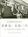 Uprooted: Braceros in the Hermanos Mayo's Lens
