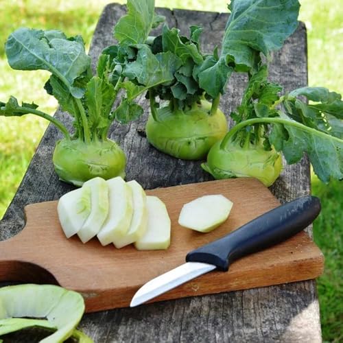 semillas de colinabo orgánicas de jardín perennes resistentes de colinabo, raras exóticas resistentes 60pcs