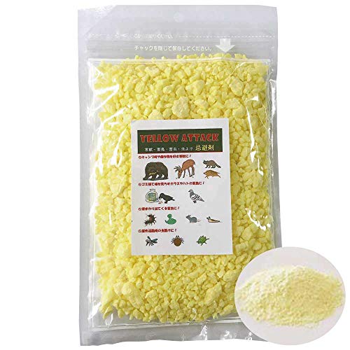 YELLOW ATTACK y܁z  400 ()