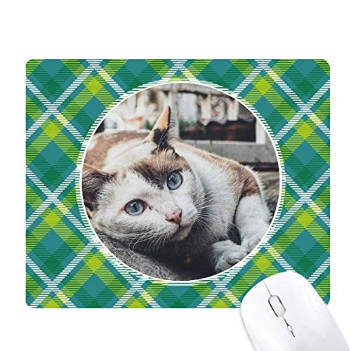 ̃JtȔL̎ʐ^ ΂̊iq̃sNZS̃}EXpbh